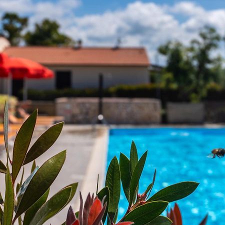 Agriturismo Il Tripesce Vada Eksteriør billede
