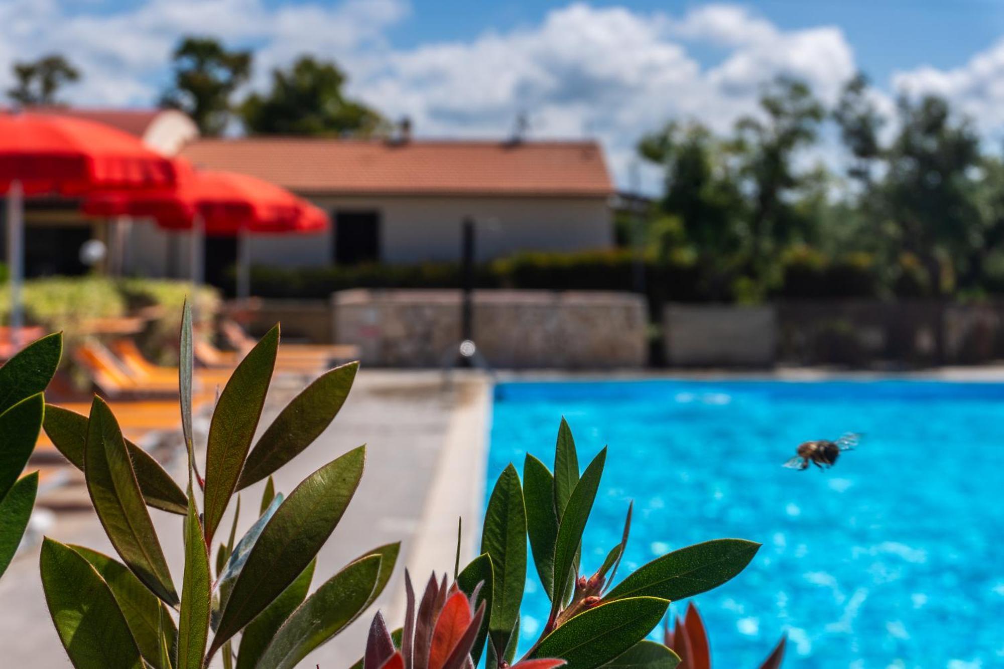 Agriturismo Il Tripesce Vada Eksteriør billede