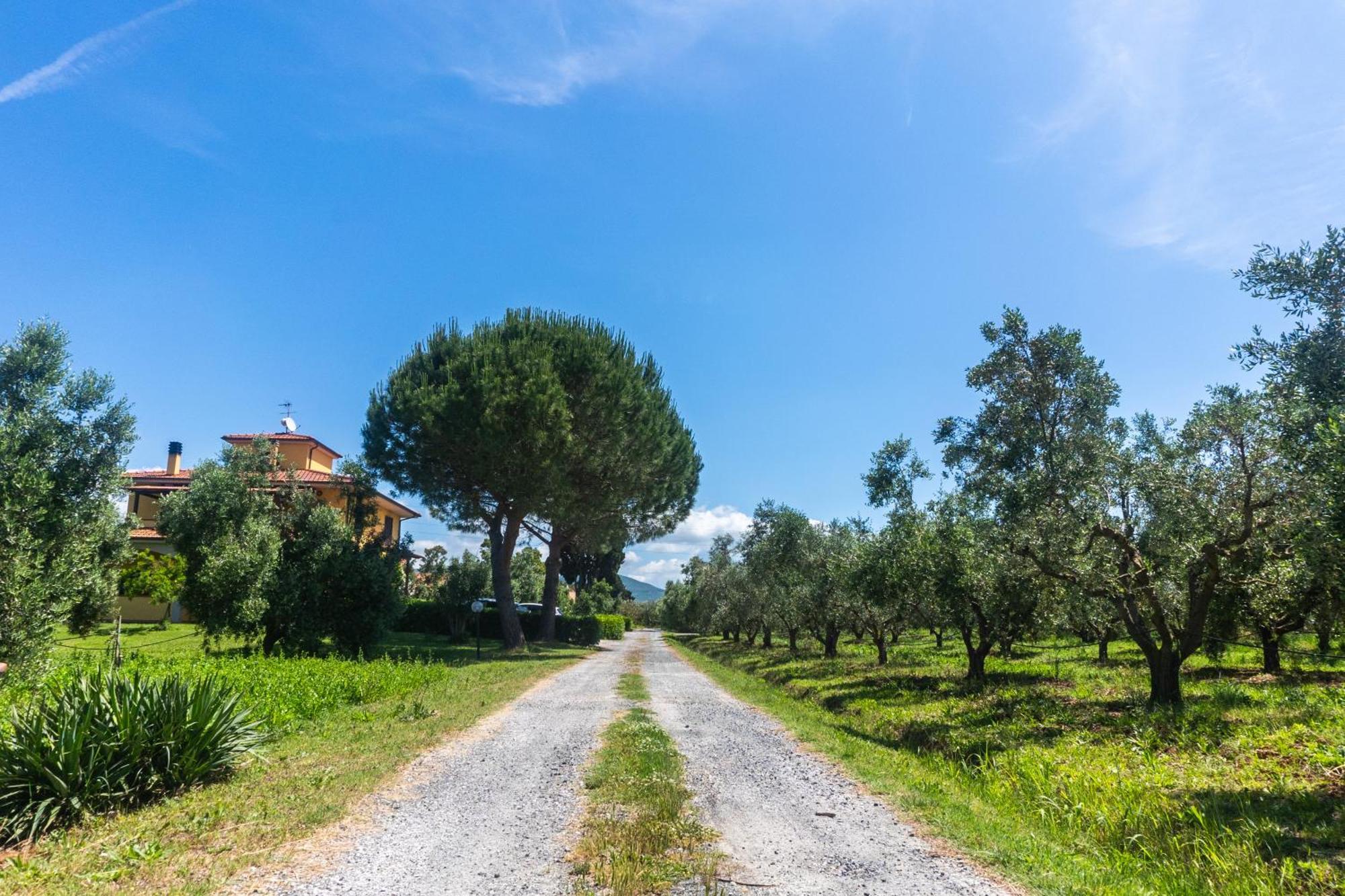 Agriturismo Il Tripesce Vada Eksteriør billede