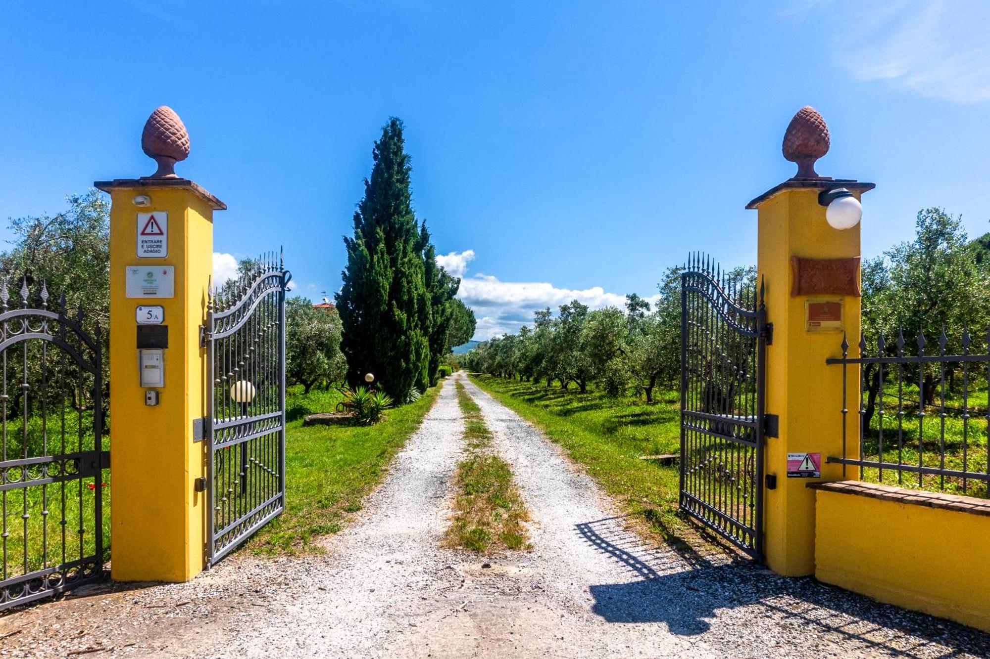 Agriturismo Il Tripesce Vada Eksteriør billede