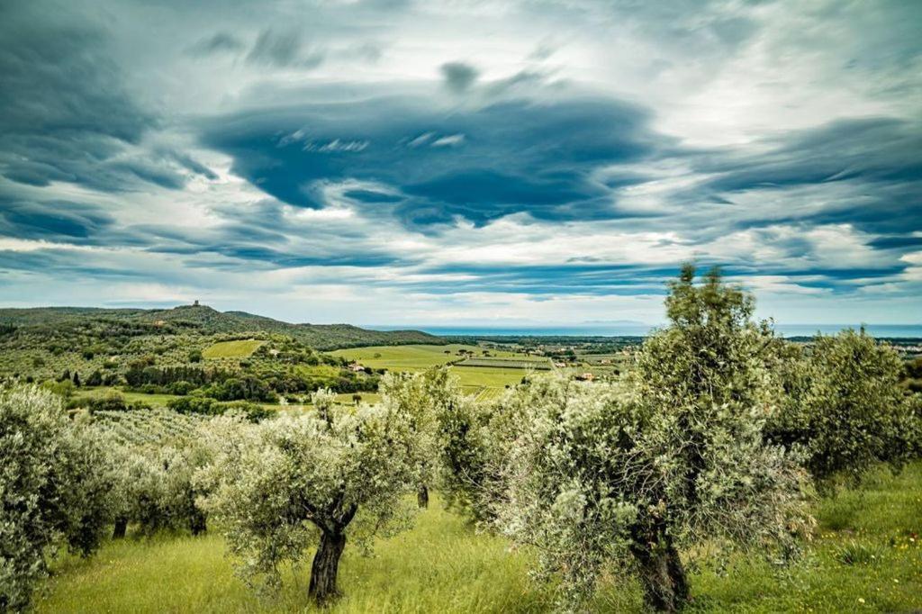 Agriturismo Il Tripesce Vada Eksteriør billede