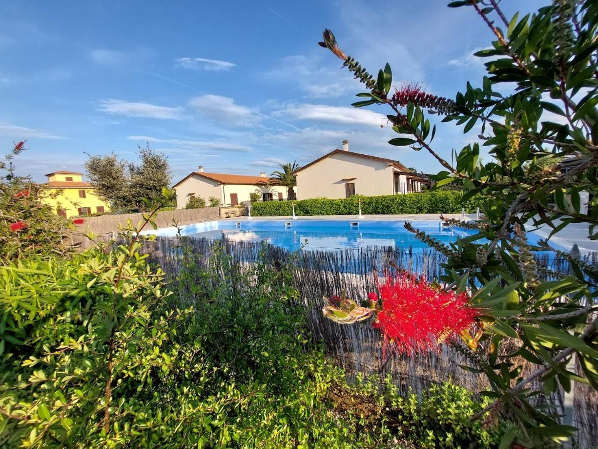 Agriturismo Il Tripesce Vada Eksteriør billede