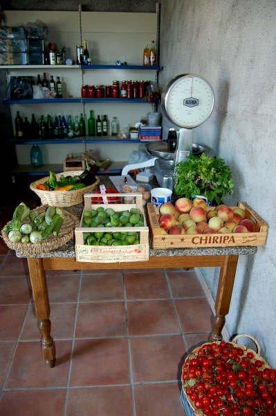 Agriturismo Il Tripesce Vada Eksteriør billede