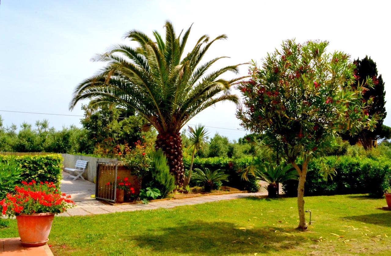 Agriturismo Il Tripesce Vada Eksteriør billede